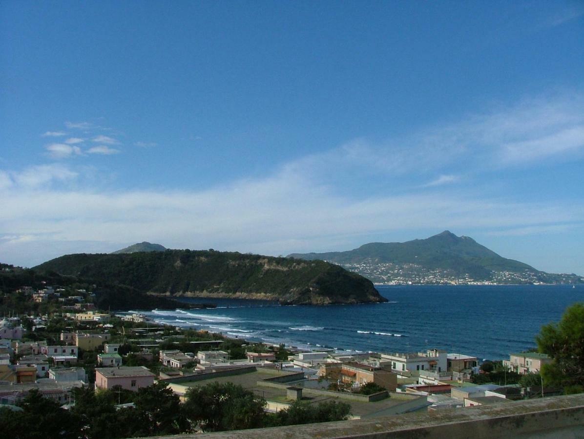 Casa Geltrude Al Porto Villa Procida Eksteriør billede